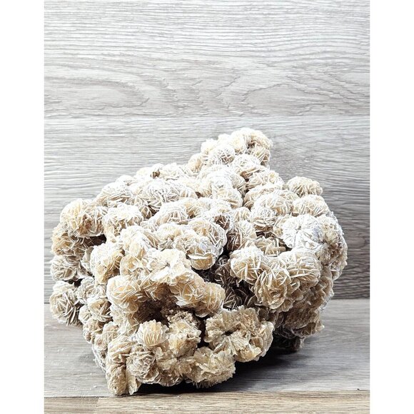 Desert Rose Selenite Natural Raw Gemstone Mineral Crystal Sand Rose Stone 6.5lbs - Picture 4 of 15